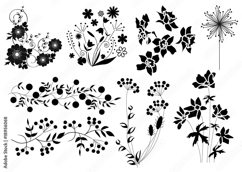 Plakat silhouettes of herbs and flowers