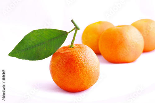 Tangerine with leaves on a white background