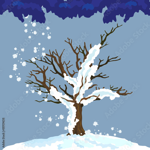 Lonley tree
