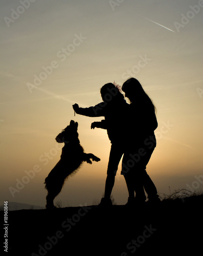play with the dog - silhouette