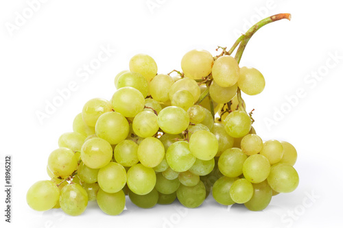 Branch of green grapes on the white background