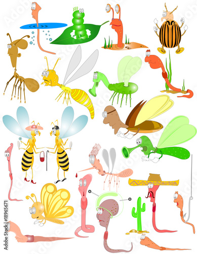 bugs insect beetles worm