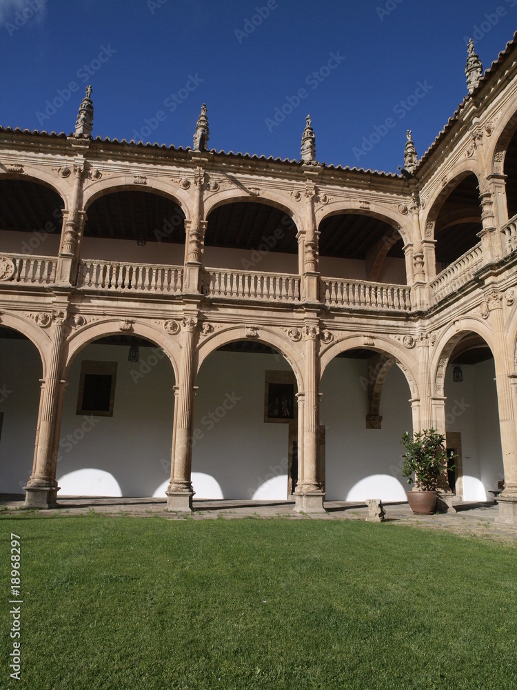 Claustro del Palacio de Fonseca en Salamanca