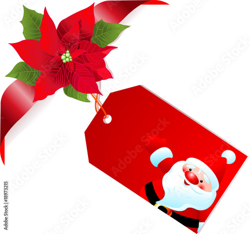 Red poinsettia and label