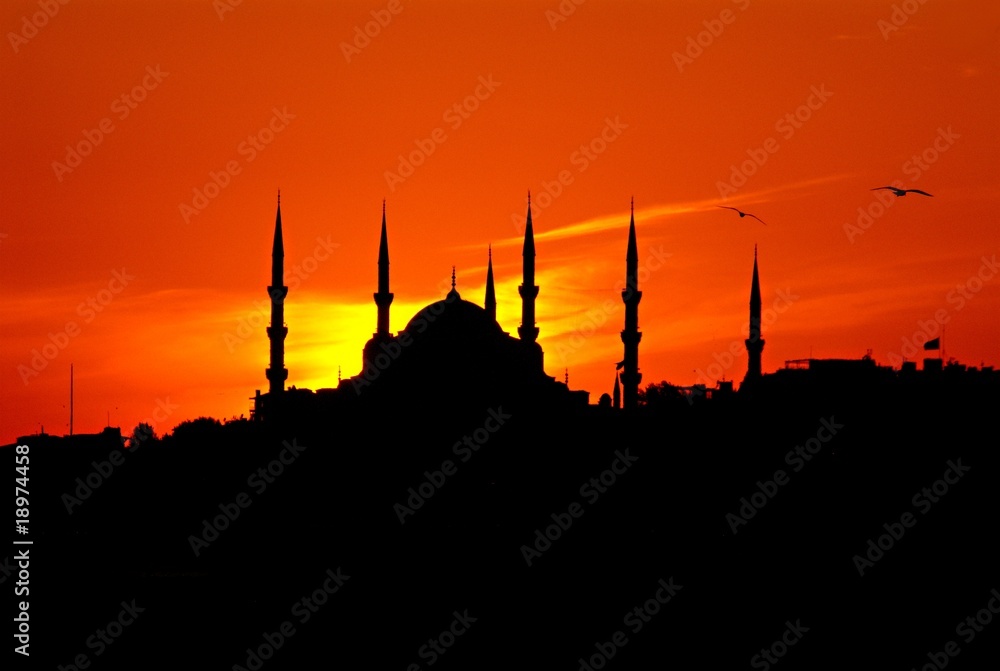 Blue Mosque in Evening