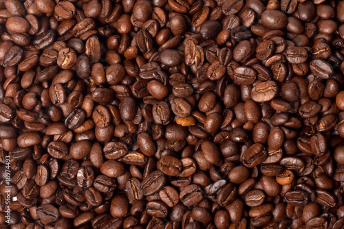 coffee beans background © Kirill Polovnoy