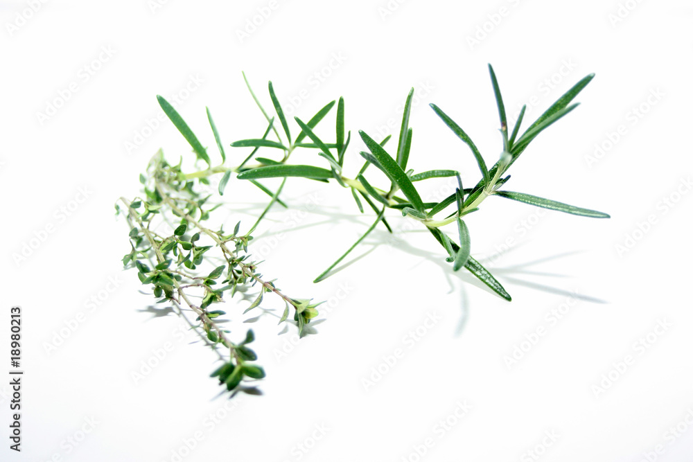 thym et romarin thym et romarin