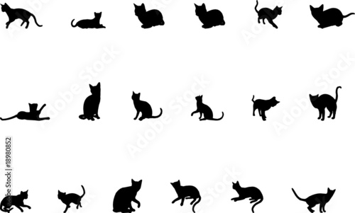 Gatti