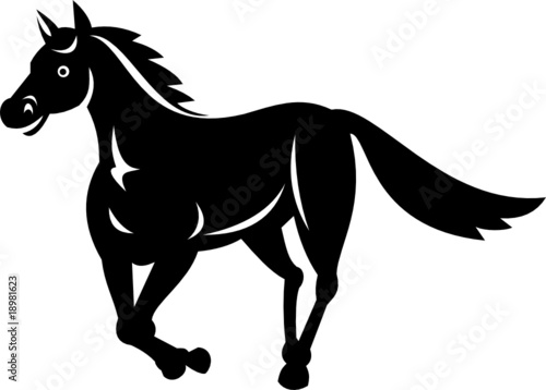 Horse galloping