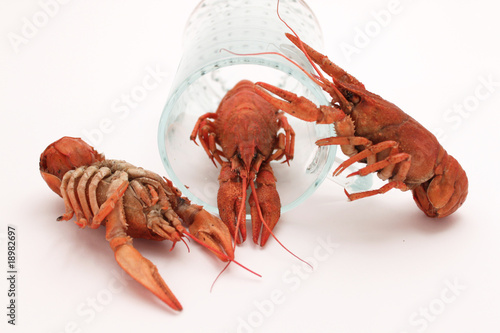 Three red cooked crayfishes with glass