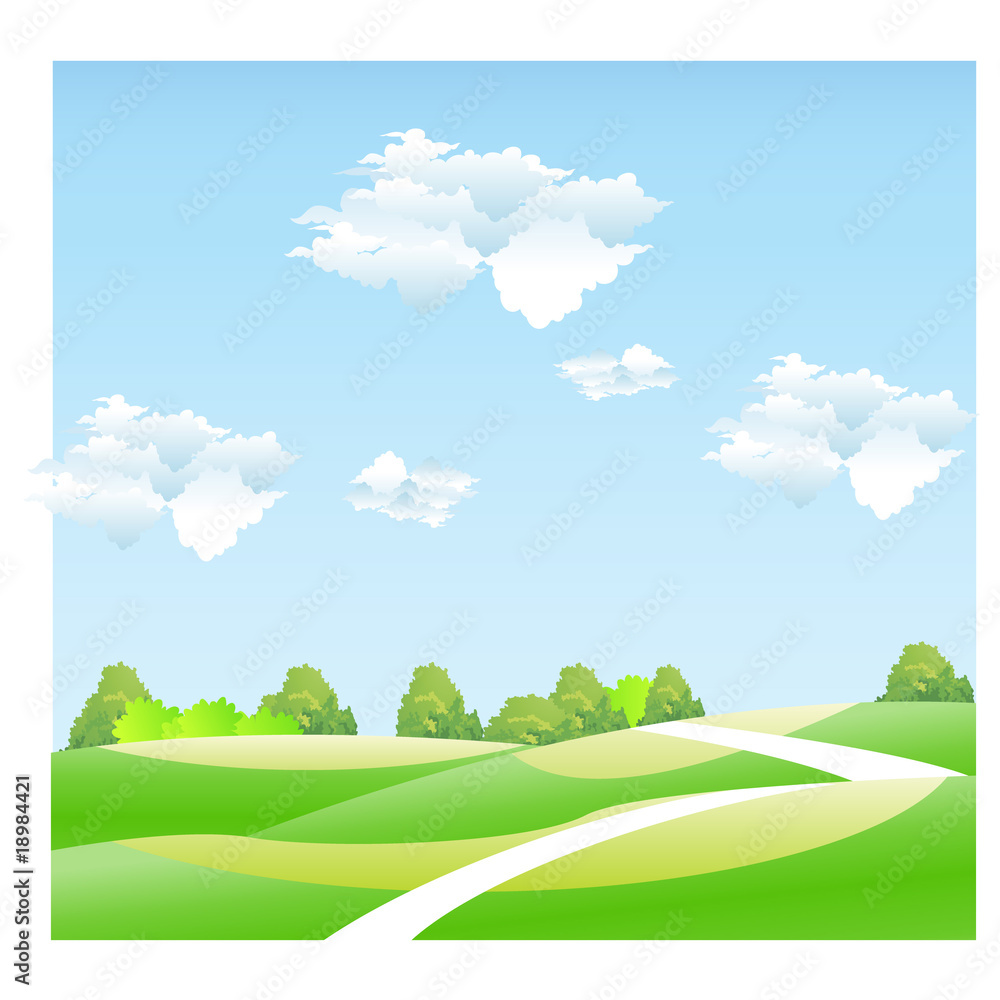 Fototapeta premium View of the forest