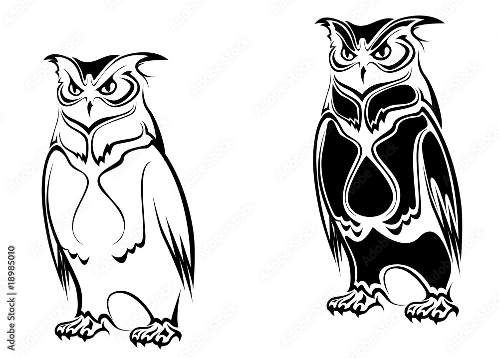 Fototapeta premium Isolated owl