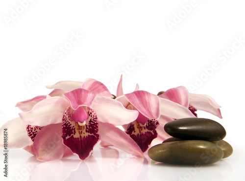 Orchid and pebbles,Zen atmosphere.