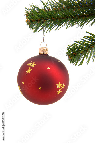 Red christmas ball in tree over white background