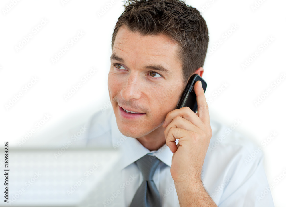 Businessman on phone working at a computer Businessman on phone working at a computer