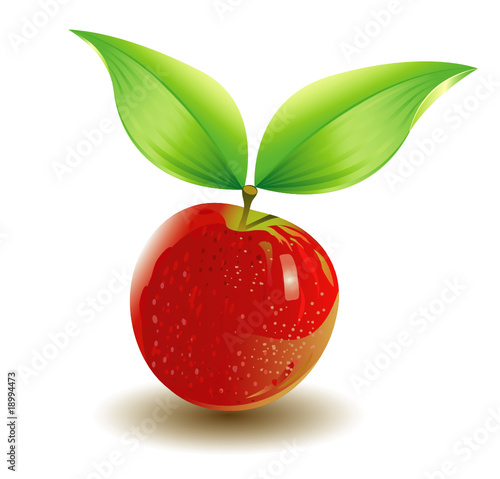 Red Apple photo