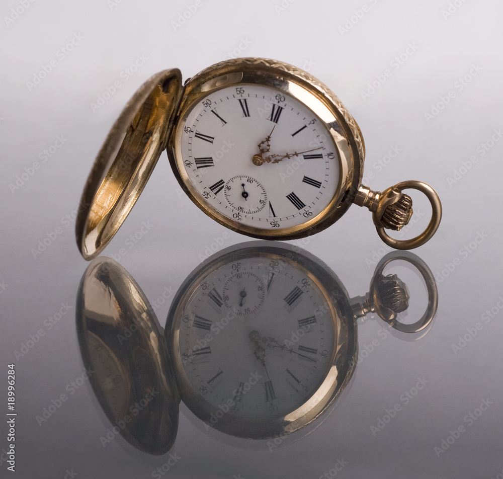 pocket watch pocket watch