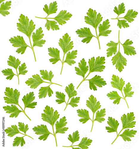 pattern from parsley