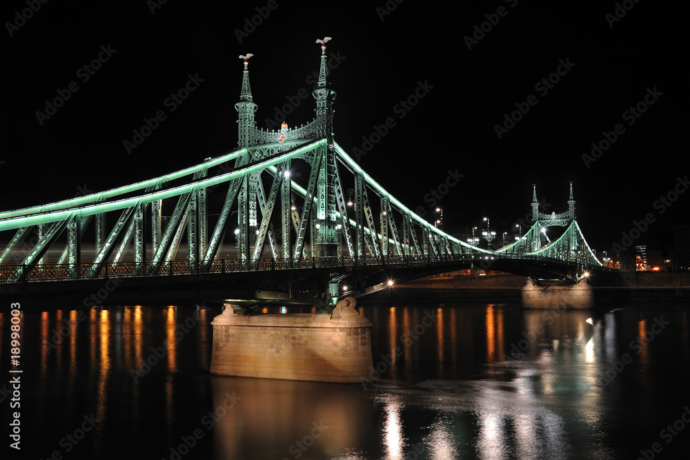 Obraz premium The Liberty Bridge in Budapest