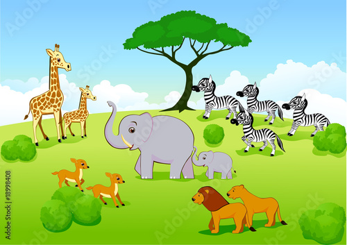 Animal safari
