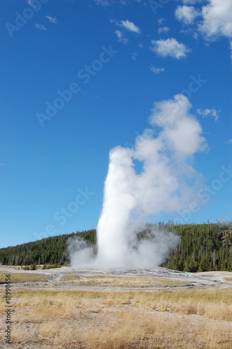 Old Faithful with fields and forest, clouds on right