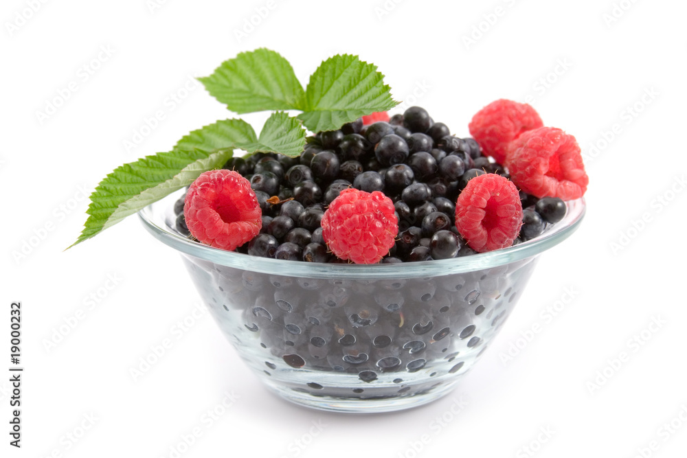Berries: raspberries and bilberries Berries: raspberries and bilberries