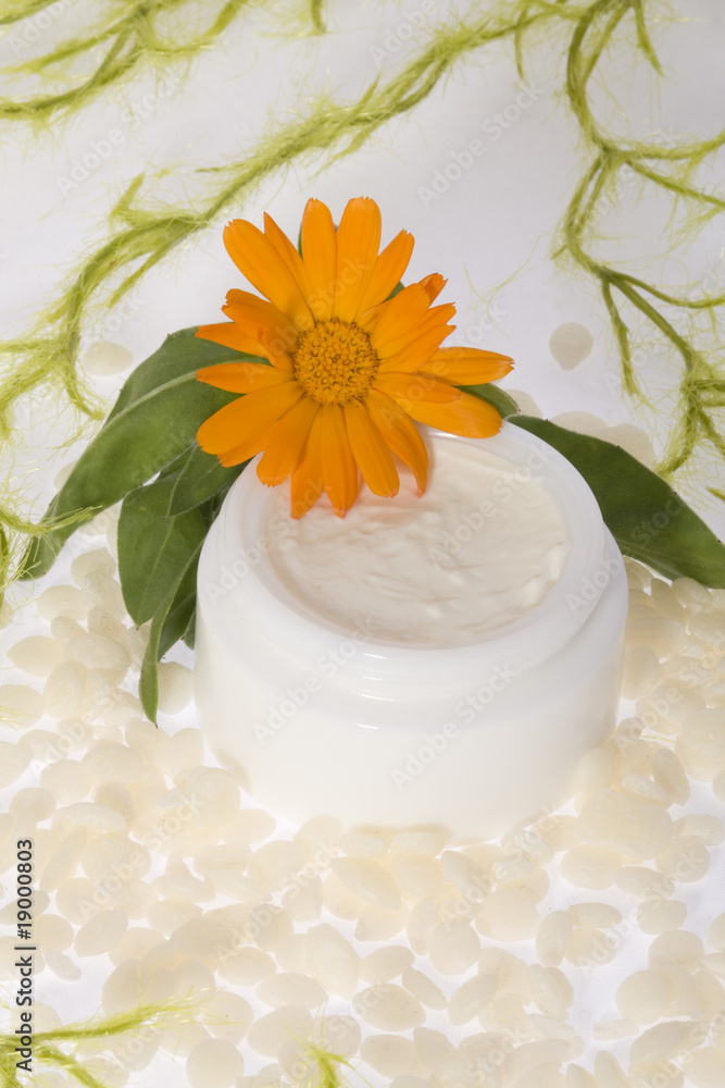 Calendula Creme Calendula Creme