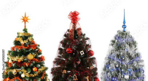Three beautiful christmas trees differently decorated