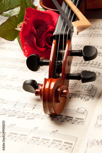 Violin and rose © Dmitriy Melnikov