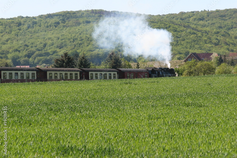 Fototapeta premium Harzer Schmalspurbahn