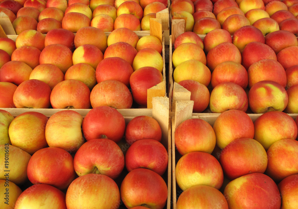 Apples in market crates