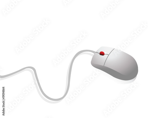 computer mouse