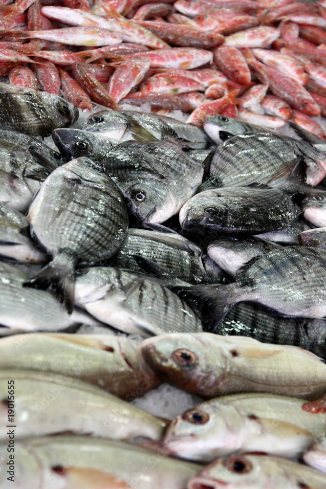 Fototapeta premium Bream pile