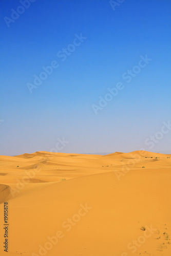 sand dunes and cloudless blue sky