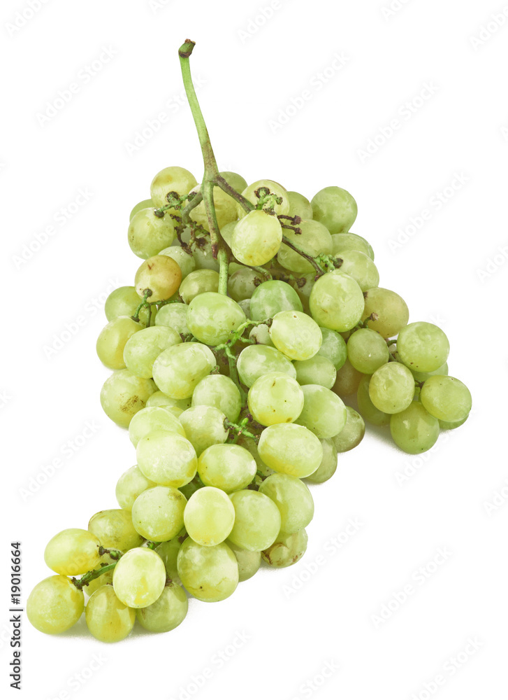 Uva Italia 1 12 09 Uva Italia 1 12 09
