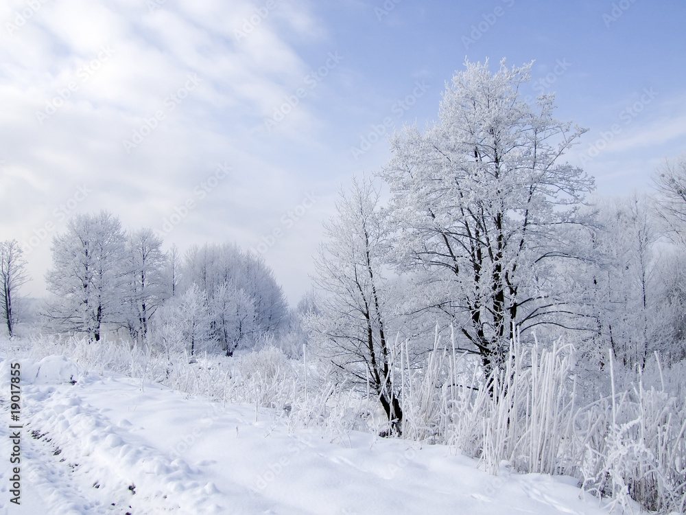 Winter Winter