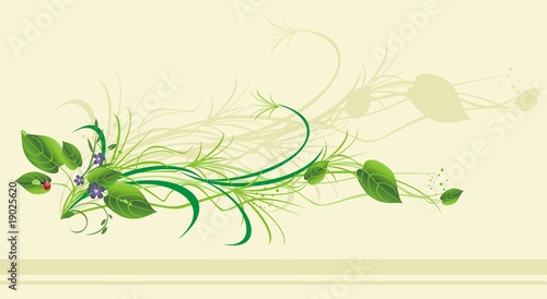 Sprigs with flowers and ladybird. Card. Vector