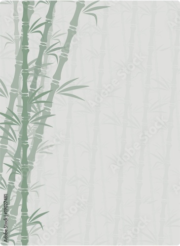 bamboo background