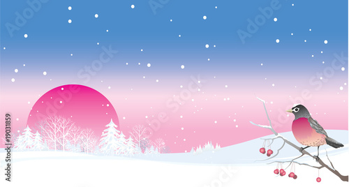 Winter landscape with bird
