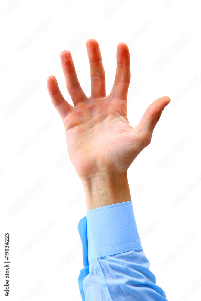 hand isolated on white background. hand isolated on white background.
