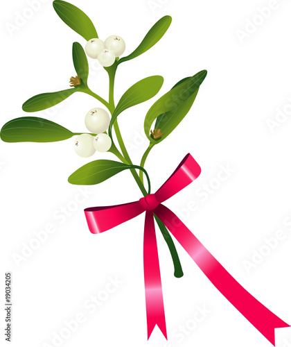 Vischio con fiocco rosa