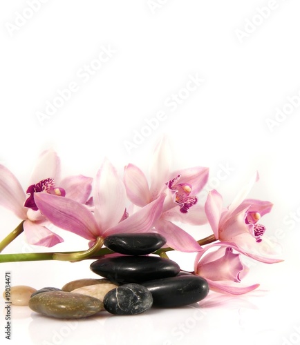 Orchid and pebbles Zen atmosphere.