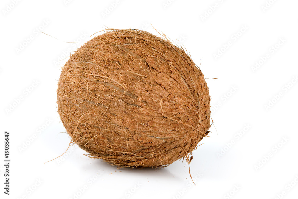 Coconut Coconut