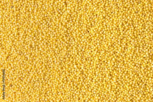 background of raw millet