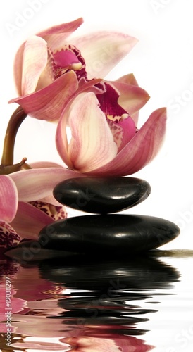 Orchid and pebbles with reflection in water,Zen atmosphere.