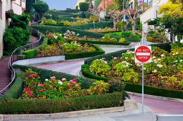 Fototapete San Francisco Lombard Street in San Francisco  © Andy