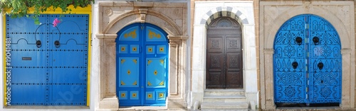 Portes de Sidi Bou Said photo