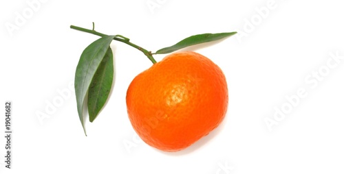 Mandarino con foglie