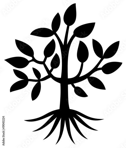Arbre - Tree - ( Silhouette - Dessin - Illustration - Vecteur )