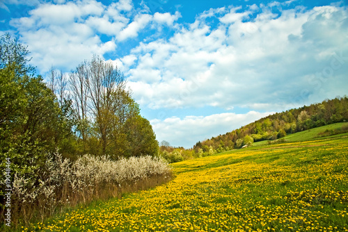 Springtime